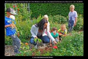 Landesgartenschau Oschatz 2016