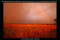 Schöner roter Regenbogen gesichtet.