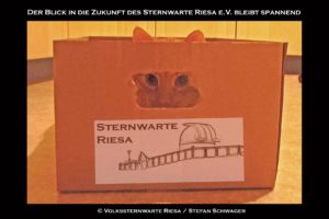 Blick eines Nachtschwärmers 2016
